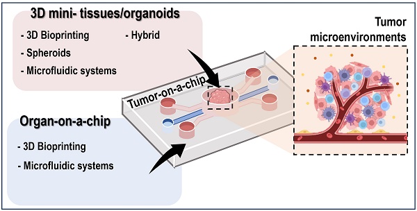 Cell viability and proliferation of hanging drop generated MDA-MB