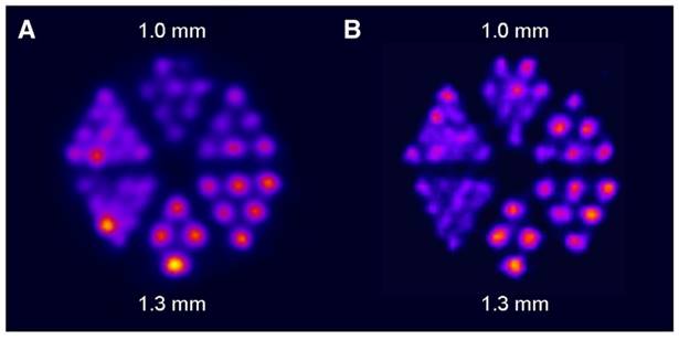Theranostics Image