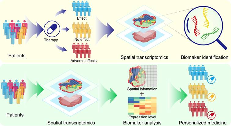 Theranostics Image
