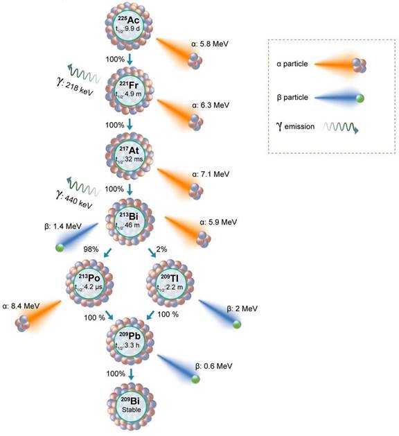 Theranostics Image