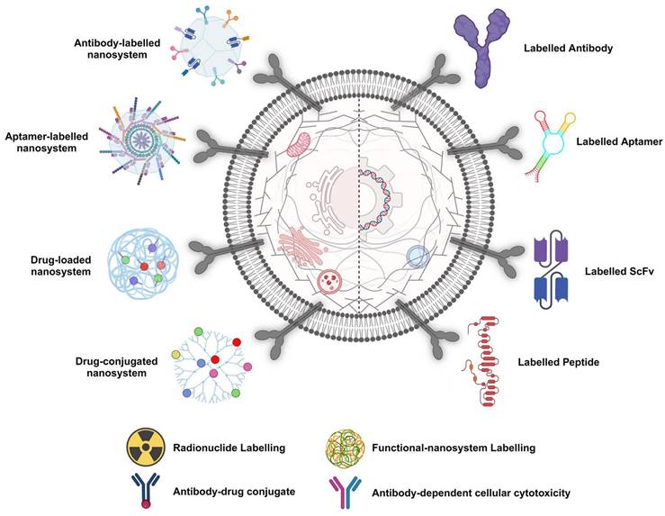 Theranostics Image