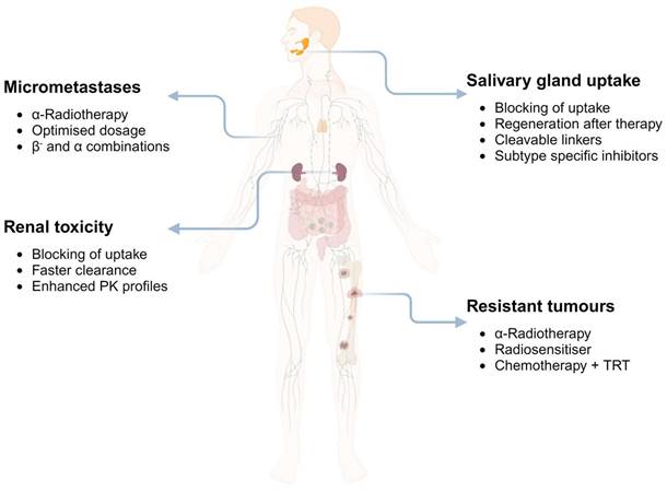 Theranostics Image