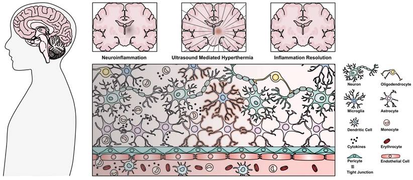 Theranostics Image