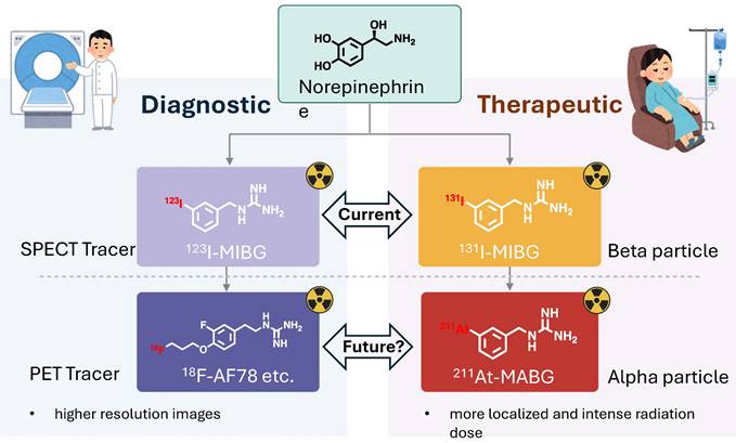 Theranostics Image