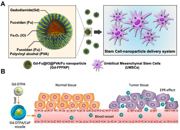 Theranostics Image