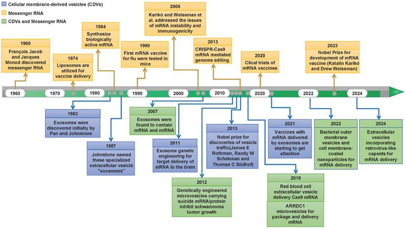 Theranostics Image