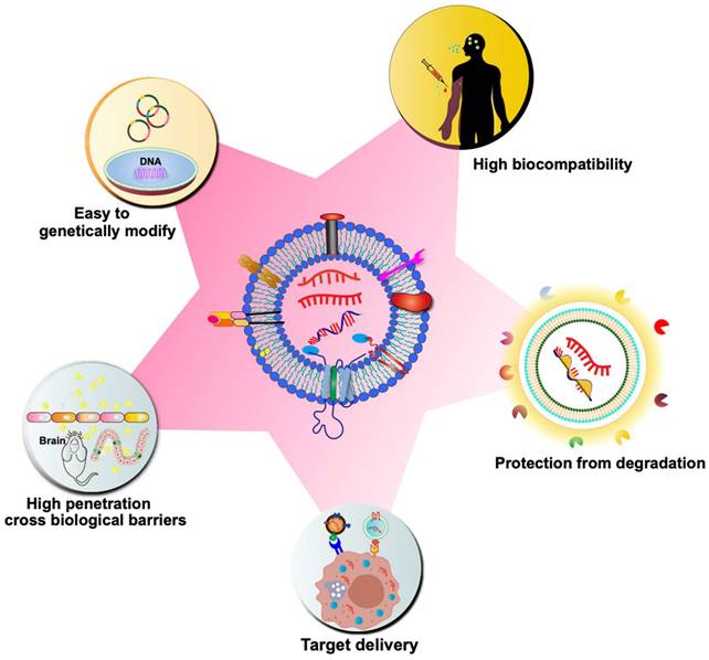 Theranostics Image