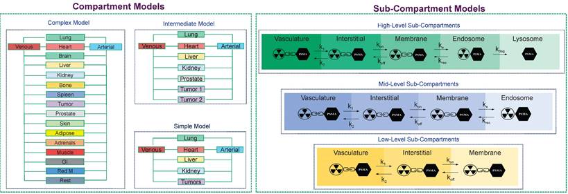 Theranostics Image