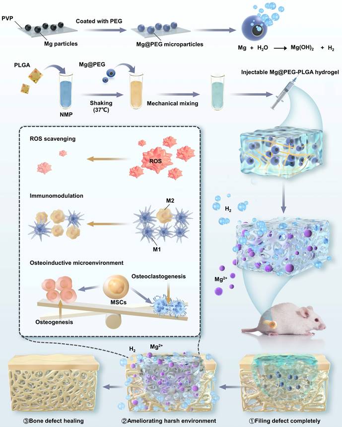 Theranostics Image