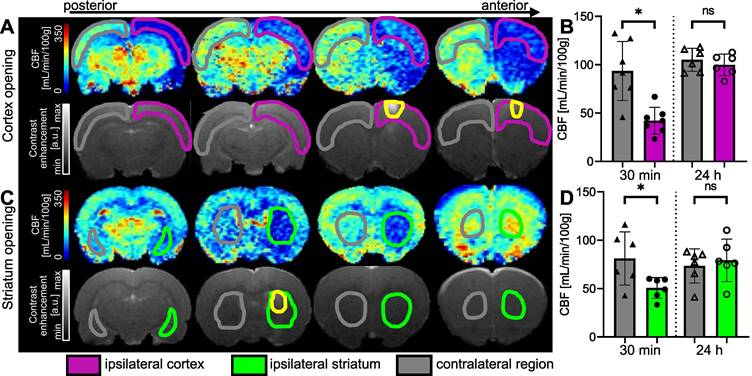 Theranostics Image