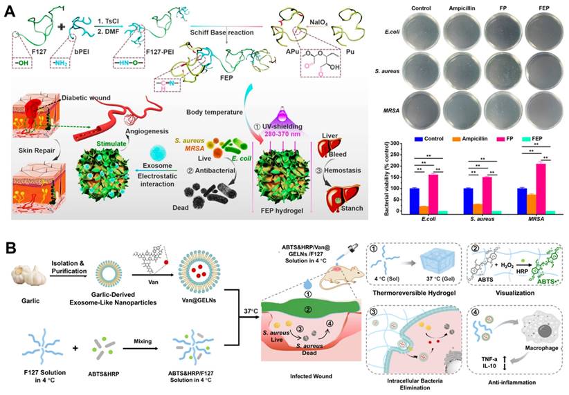 Theranostics Image