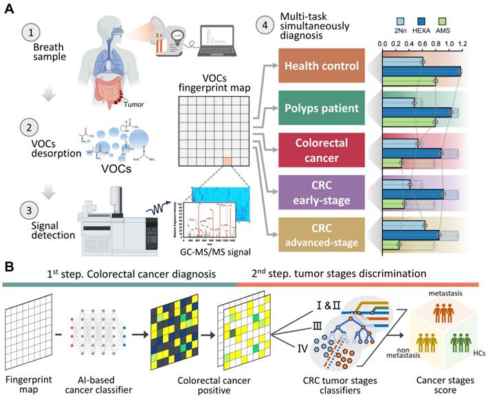 Theranostics Image
