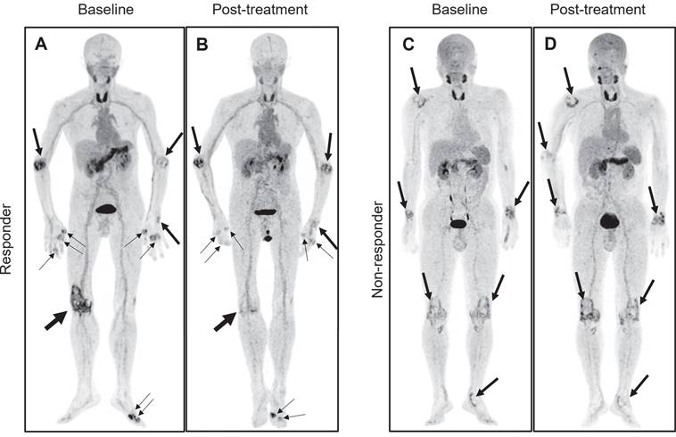 Theranostics Image