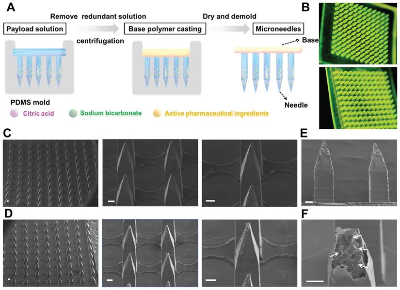 Theranostics Image