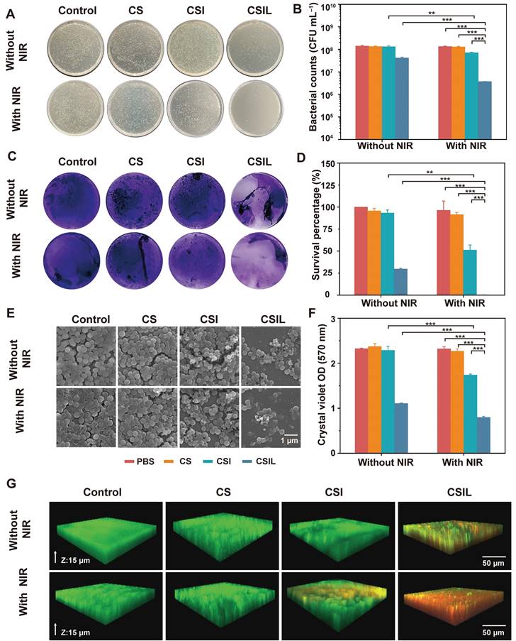 Theranostics Image