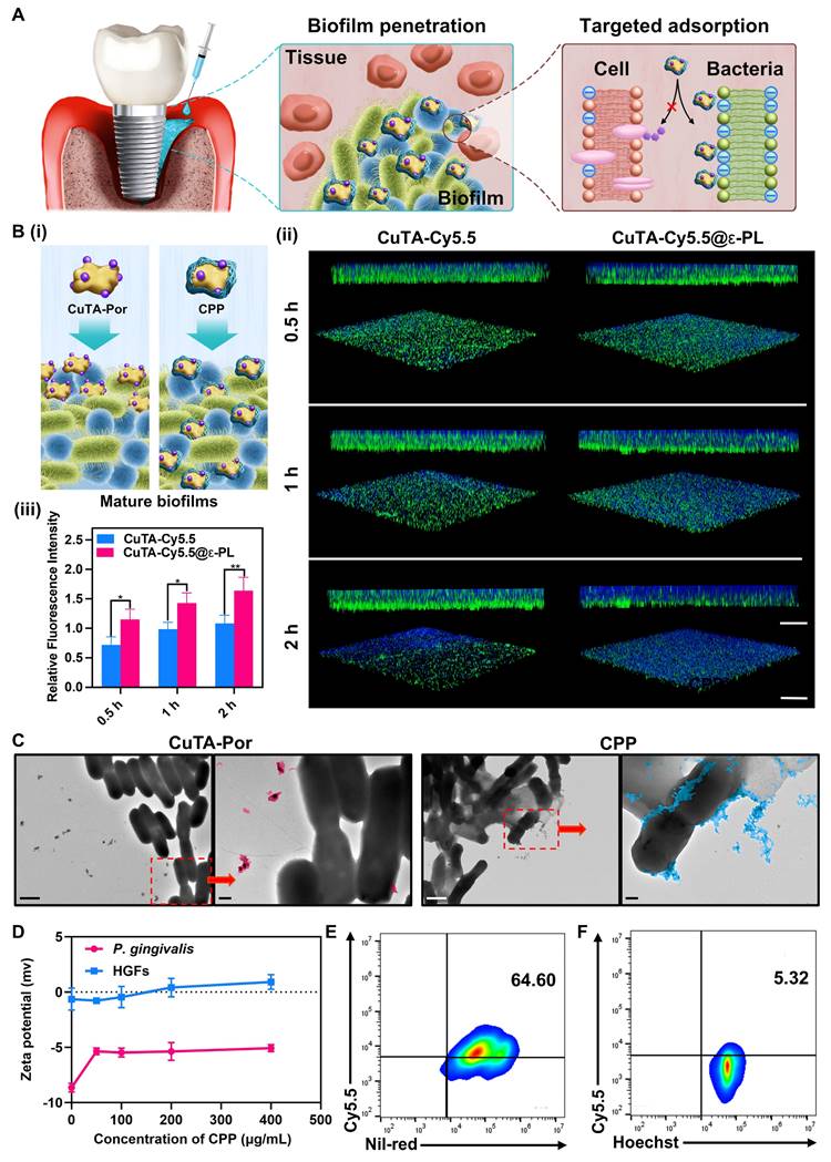 Theranostics Image