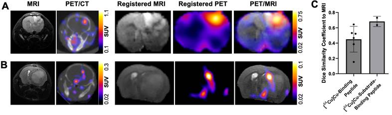 Theranostics Image