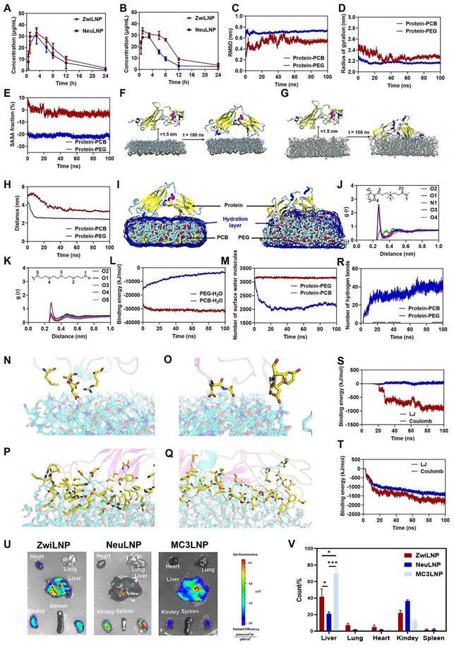 Theranostics Image