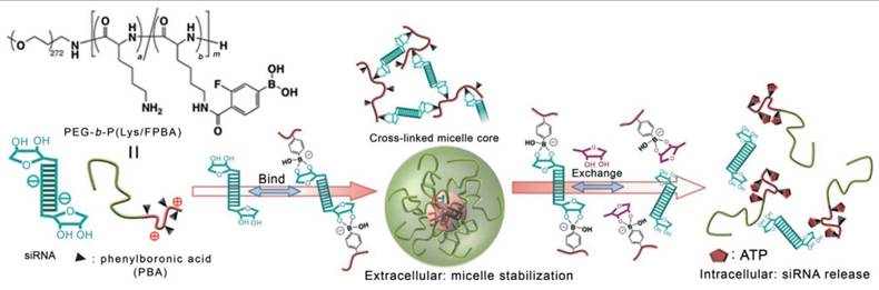 Theranostics Image