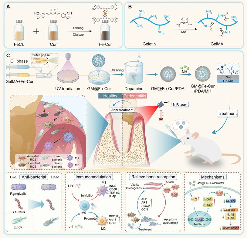 Theranostics Image