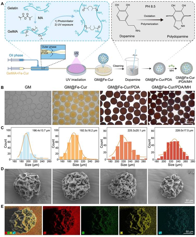 Theranostics Image