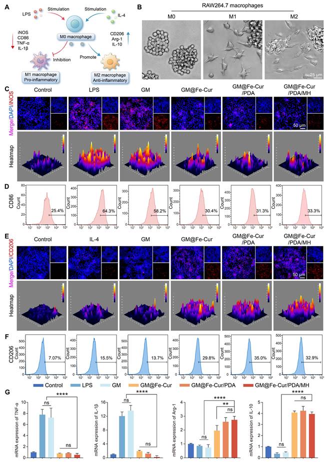 Theranostics Image