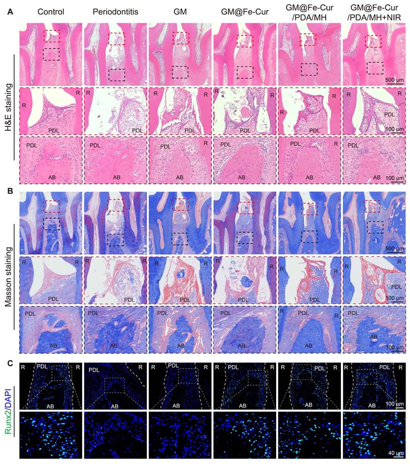 Theranostics Image