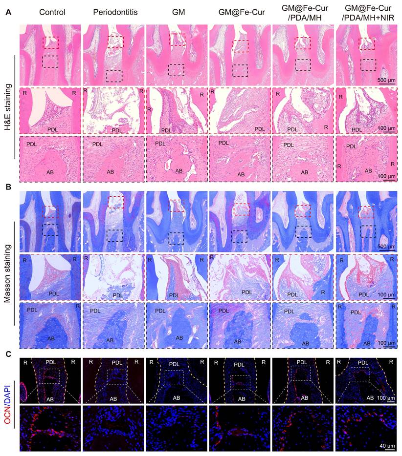 Theranostics Image