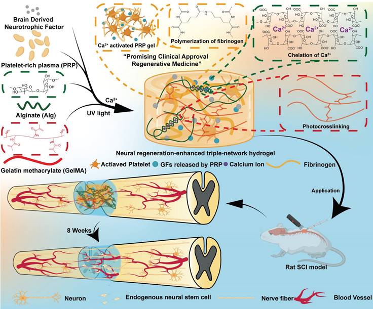 Theranostics Image
