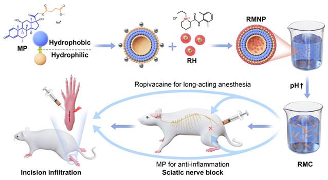 Theranostics Image