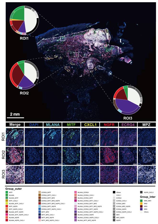 Theranostics Image