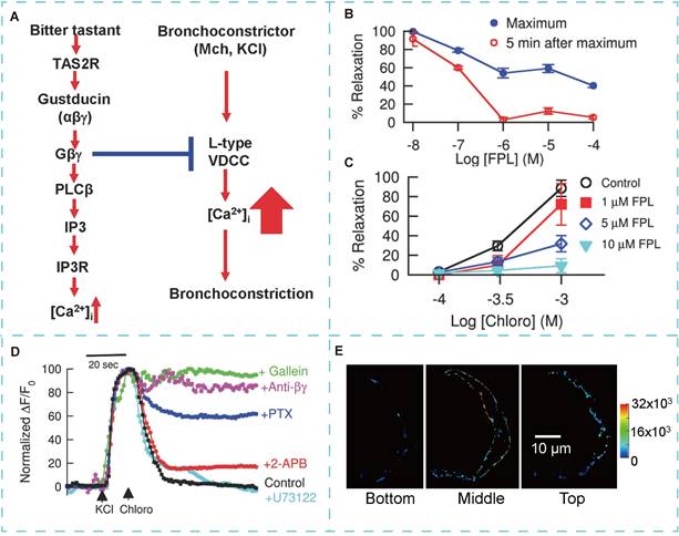 Theranostics Image