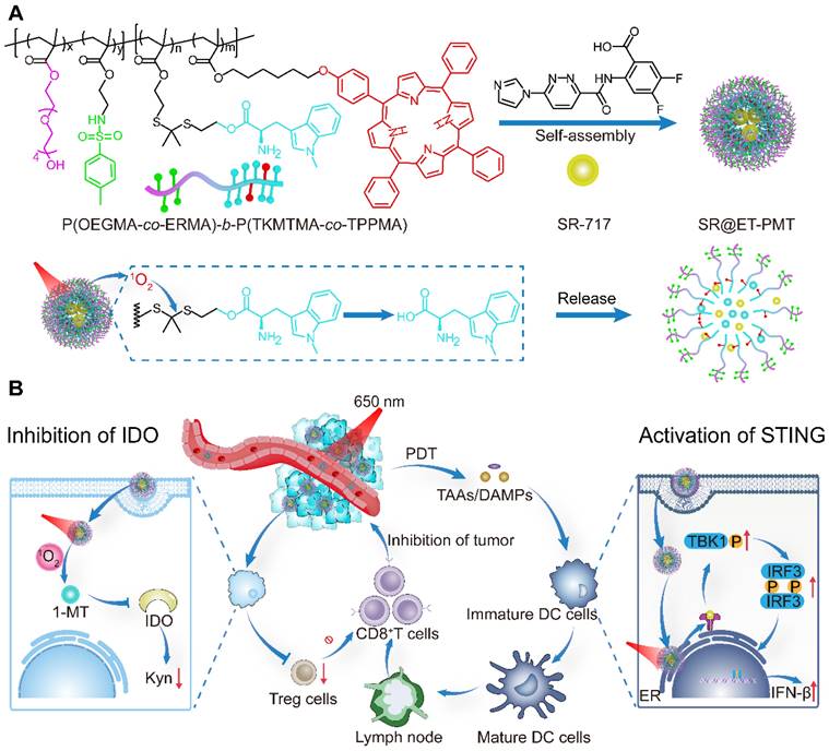 Theranostics Image