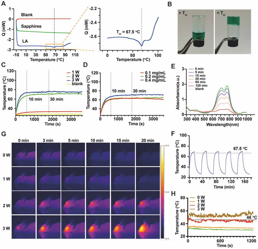 Theranostics Image