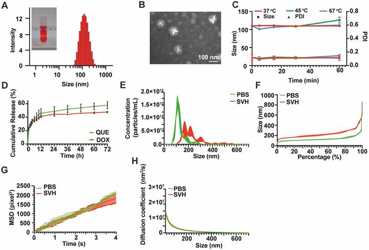 Theranostics Image