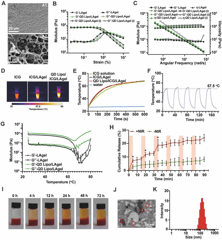 Theranostics Image
