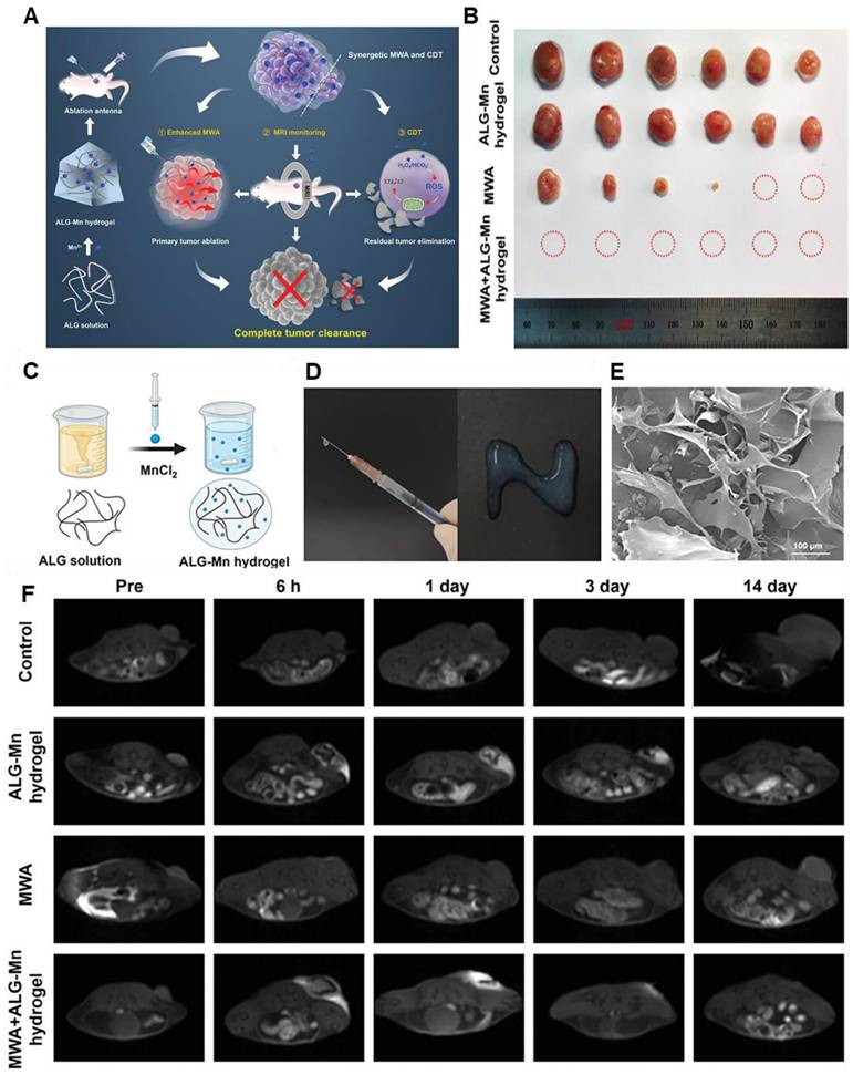 Theranostics Image