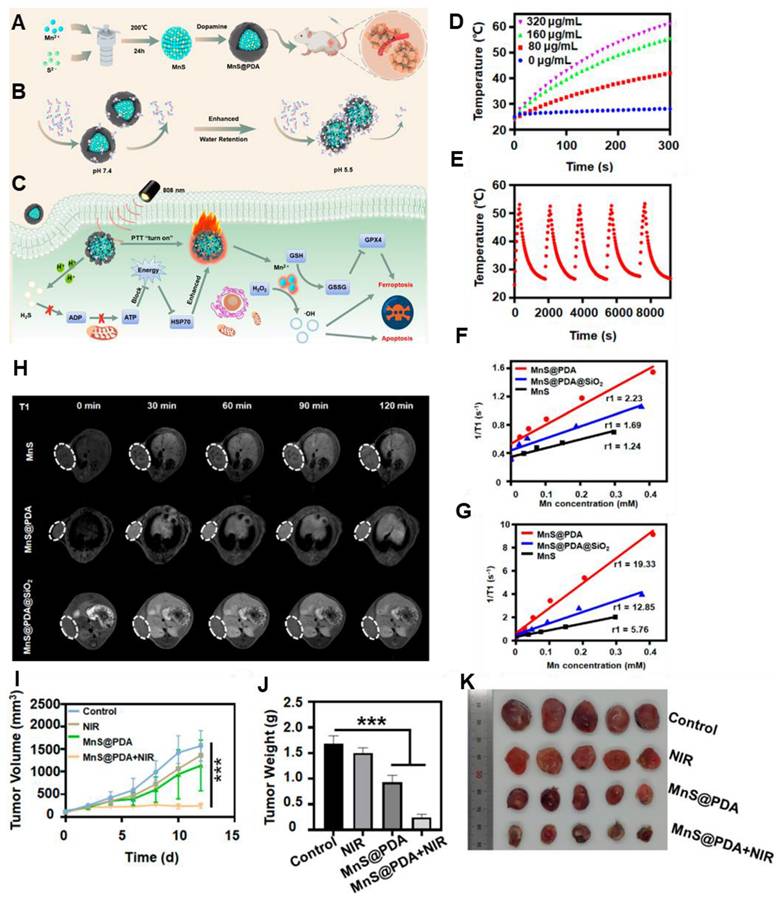 Theranostics Image