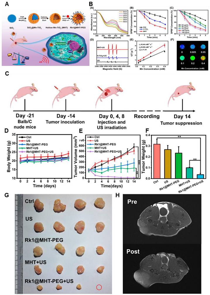 Theranostics Image
