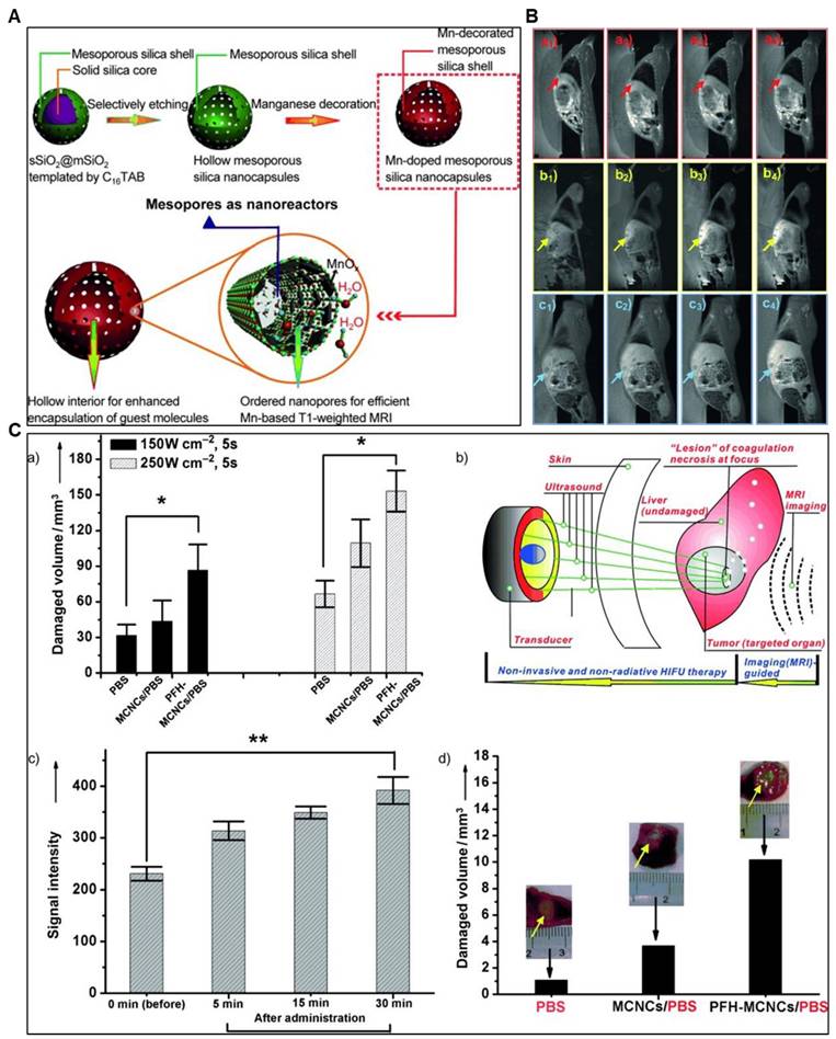 Theranostics Image