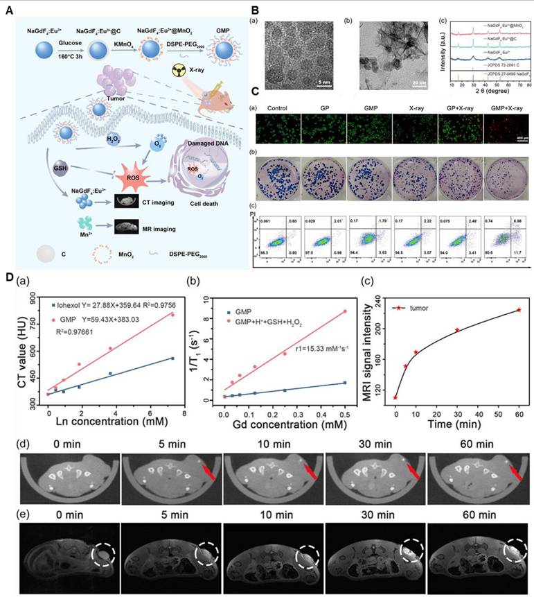 Theranostics Image