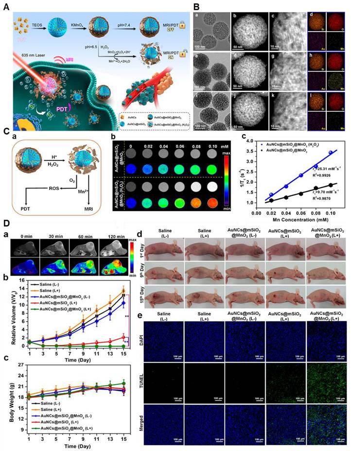 Theranostics Image