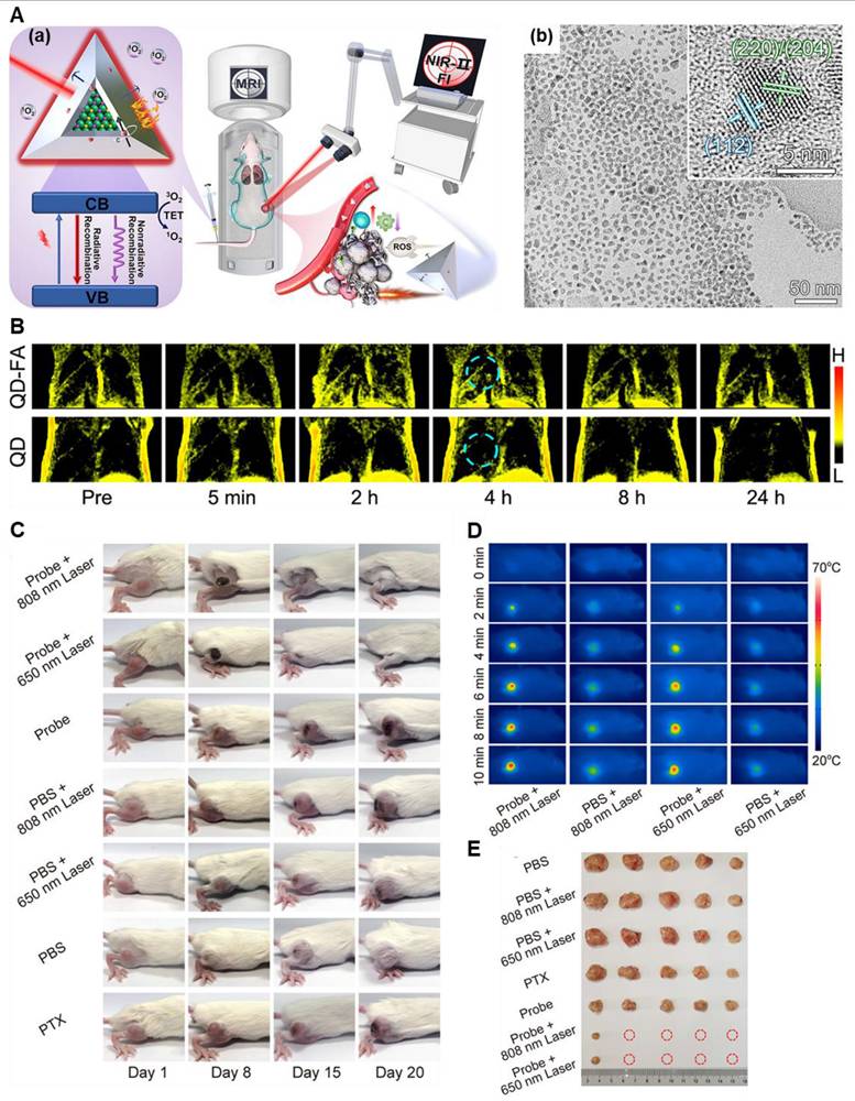 Theranostics Image