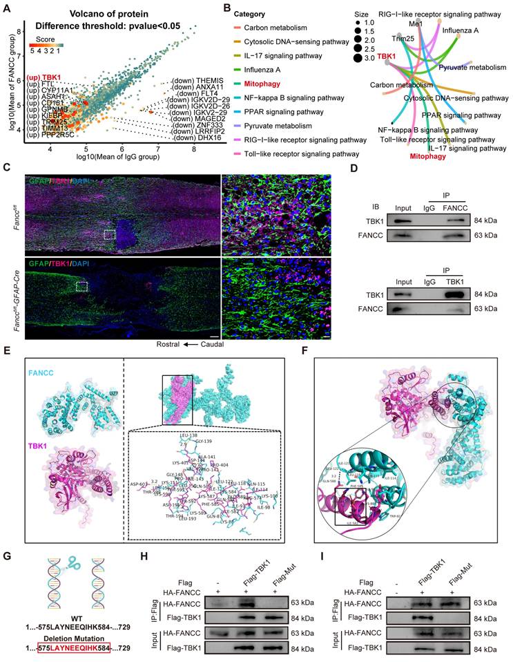Theranostics Image