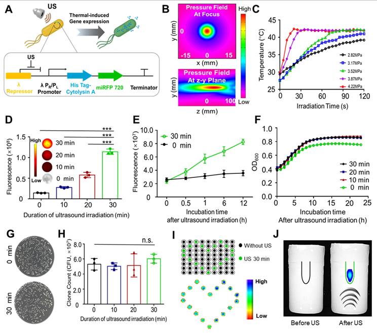 Theranostics Image