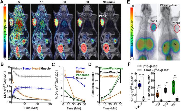Theranostics Image