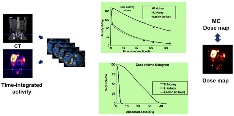 Theranostics Image