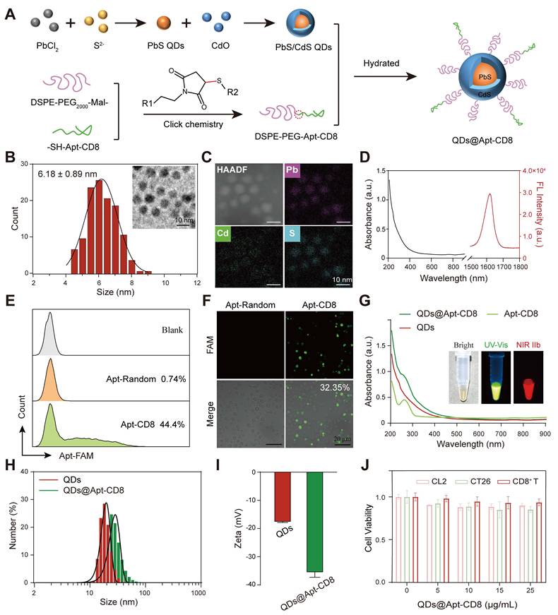 Theranostics Image