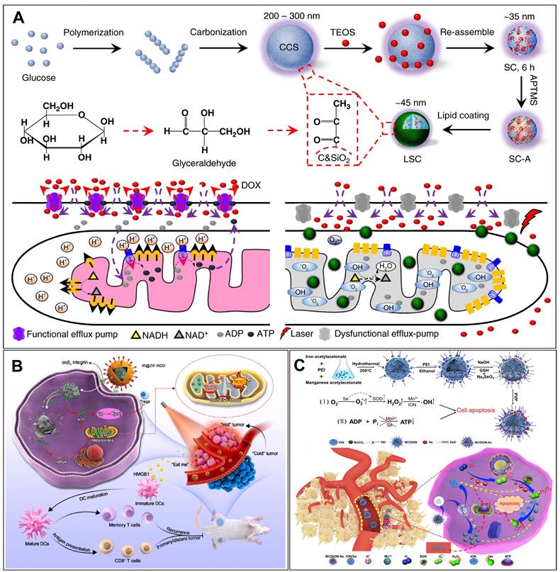 Theranostics Image