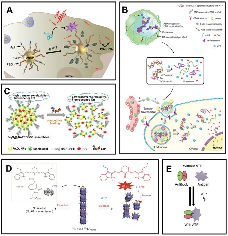 Theranostics Image